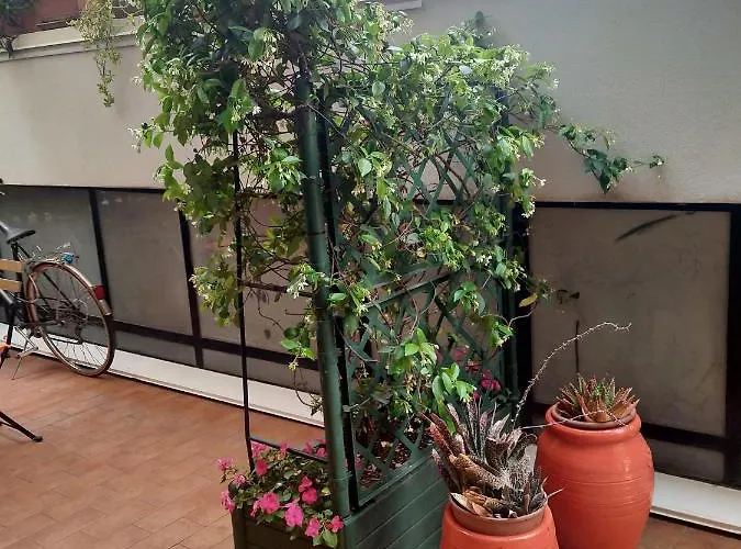 Casarancia Apartment *