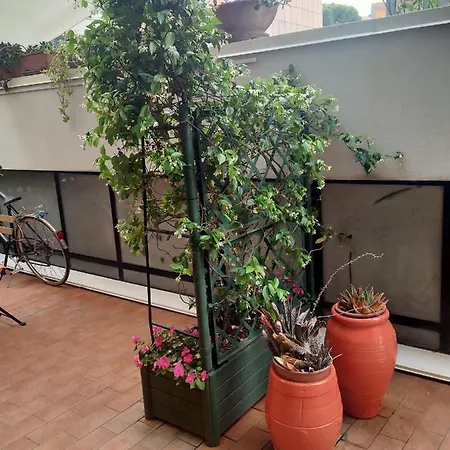 Casarancia Apartman *