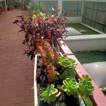 Casarancia Apartman Róma